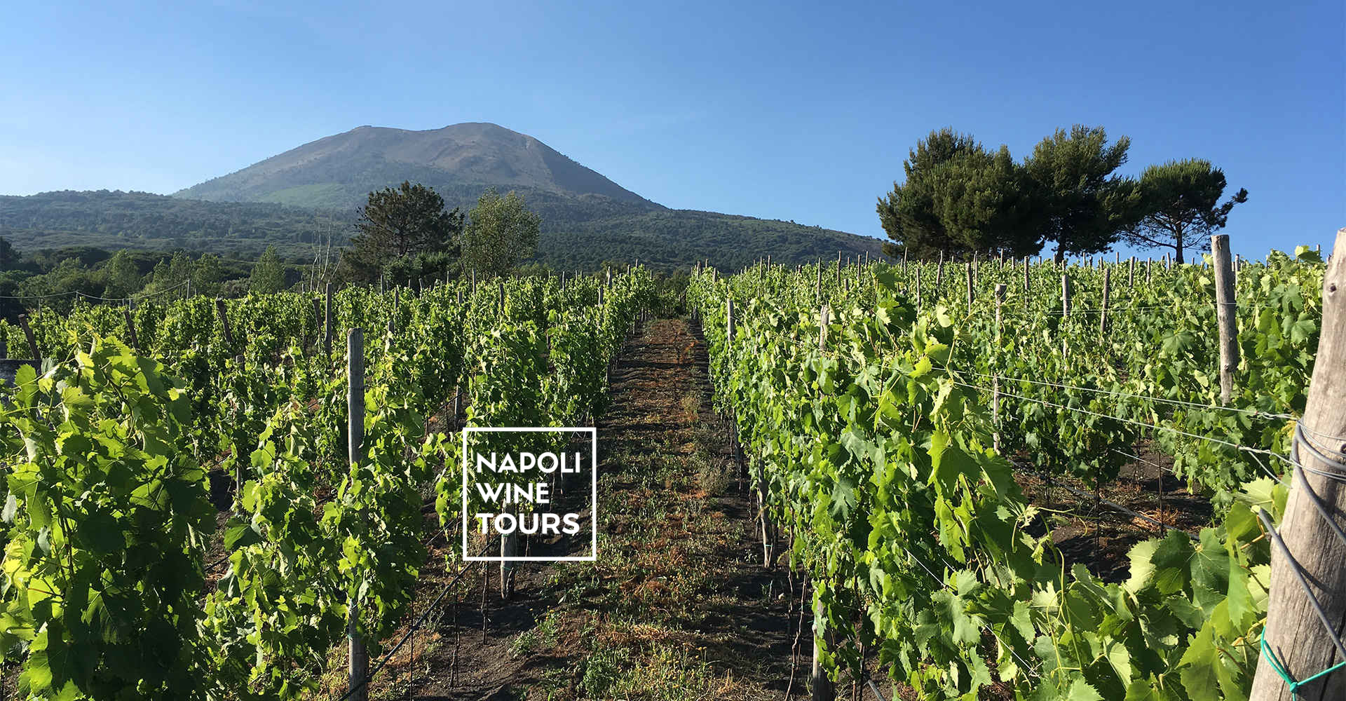 Ita La Campania In Un Calice Napoli Wine Tours